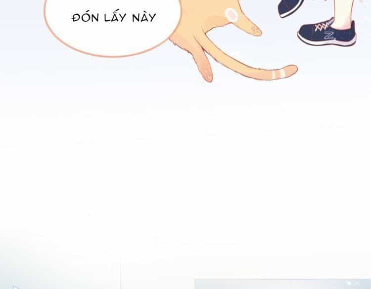 Bên Anh Mới Là Cả Thế Giới - Chương 5 - ảnh 10