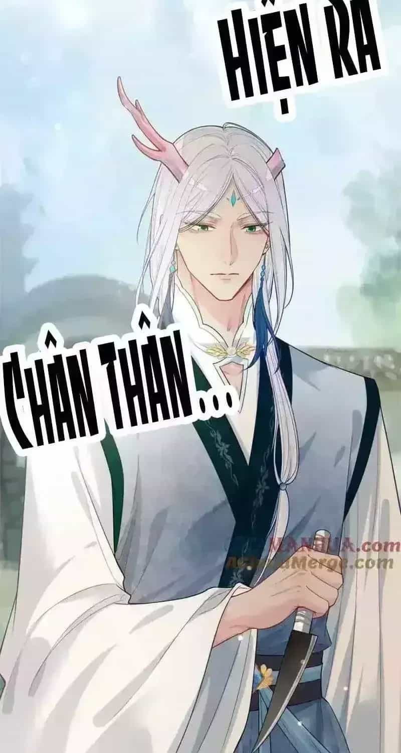 Bệnh Kiều Nam Chủ Lại Ghen Rồi - Chương 143.3 - ảnh 7