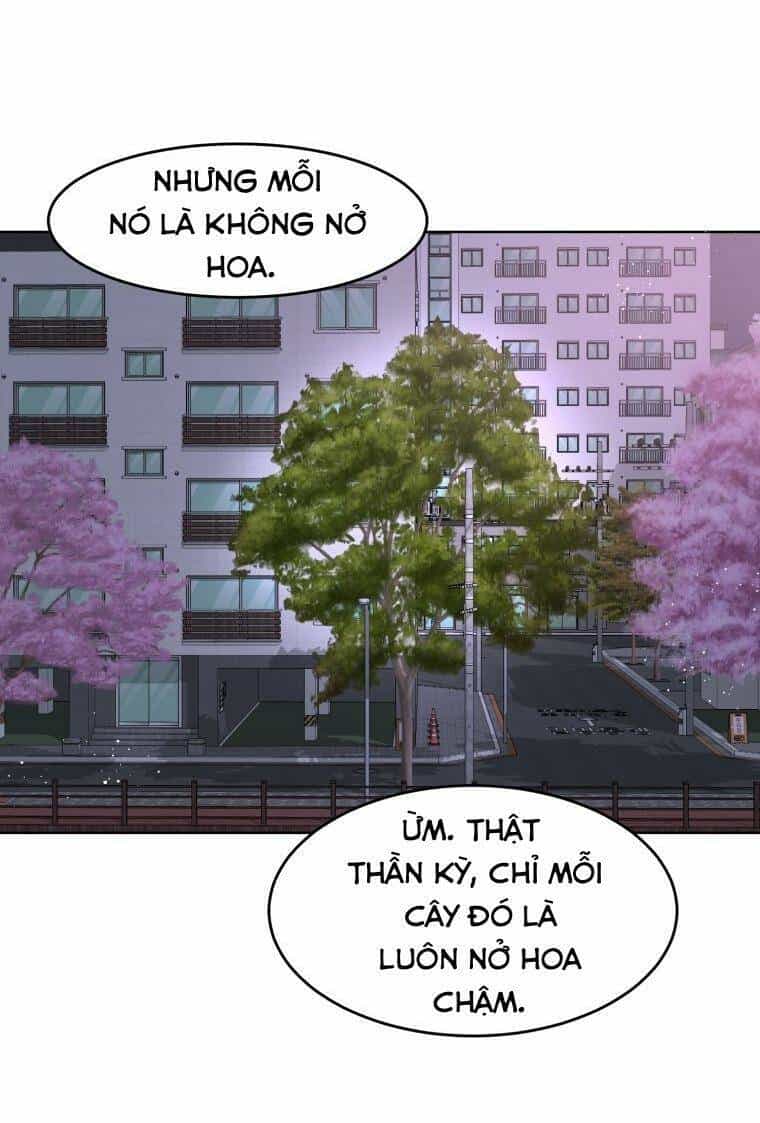 Bí Mật Highteen - Chương 15 - ảnh 61