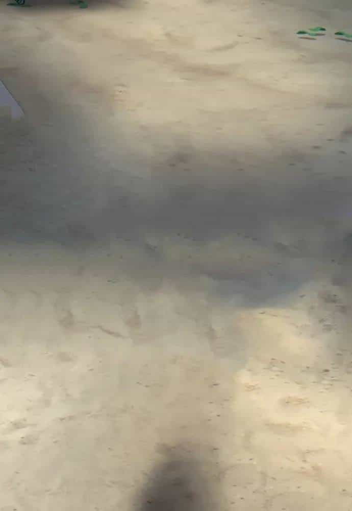 Bù Nhìn - Chương 133 - ảnh 119