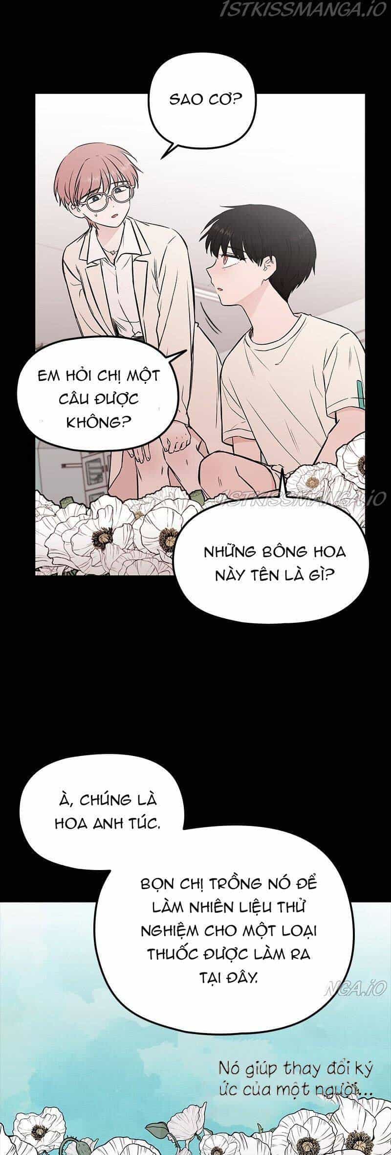 Bươm Bướm Và Máu - Chương 57 - ảnh 5
