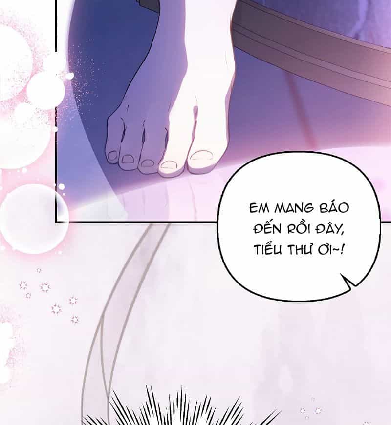 Các Nam Chính Bị Giam Giữ Trong Nhà Tôi - Chương 1 - ảnh 171