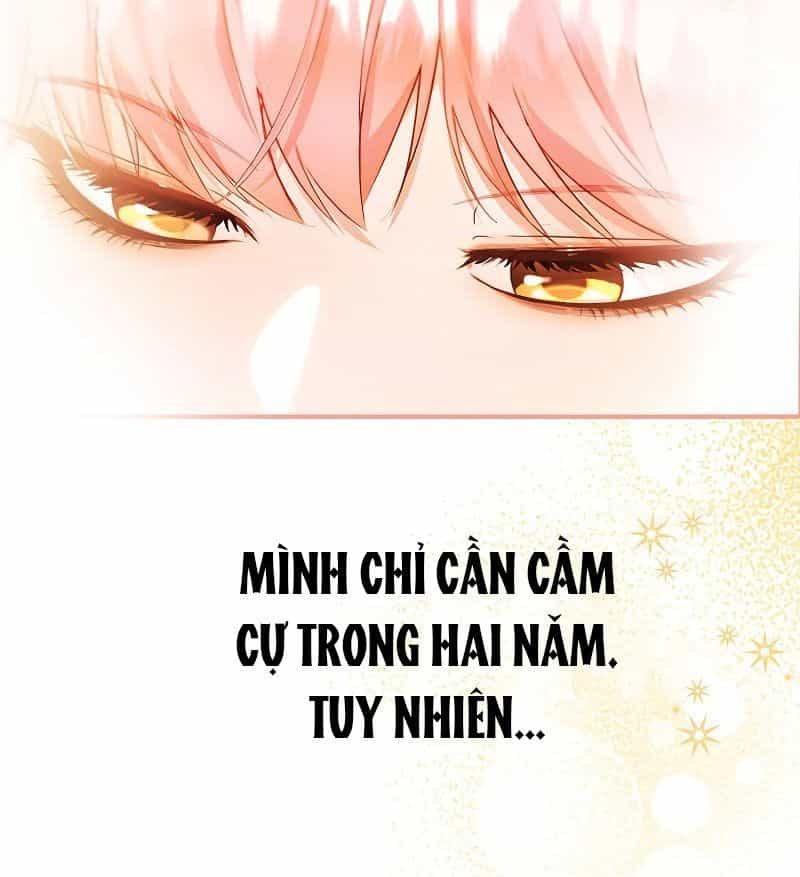Các Nam Chính Bị Giam Giữ Trong Nhà Tôi - Chương 2 - ảnh 107