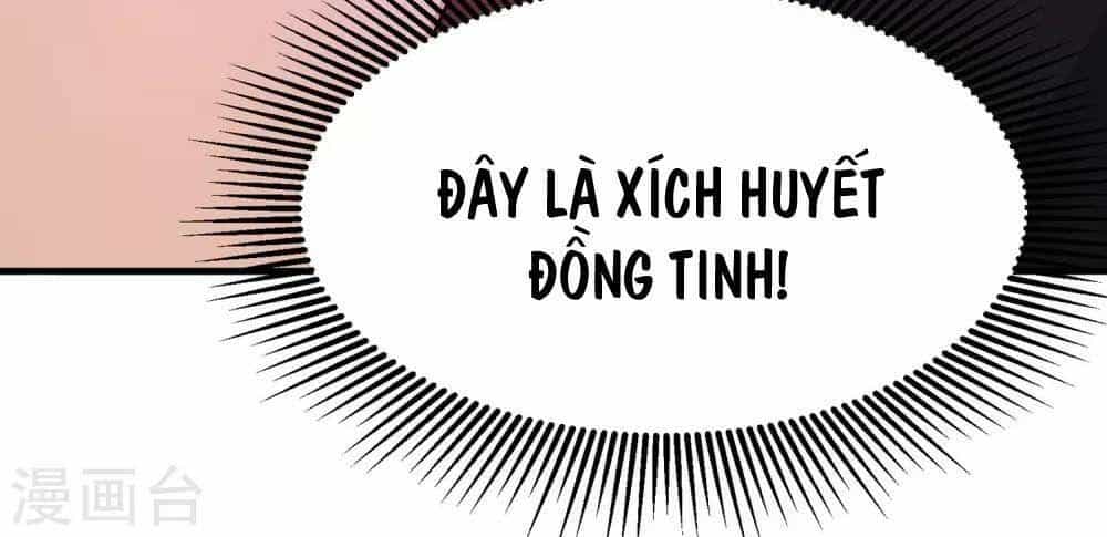 Cái Thế Đế Tôn - Chương 4 - ảnh 24