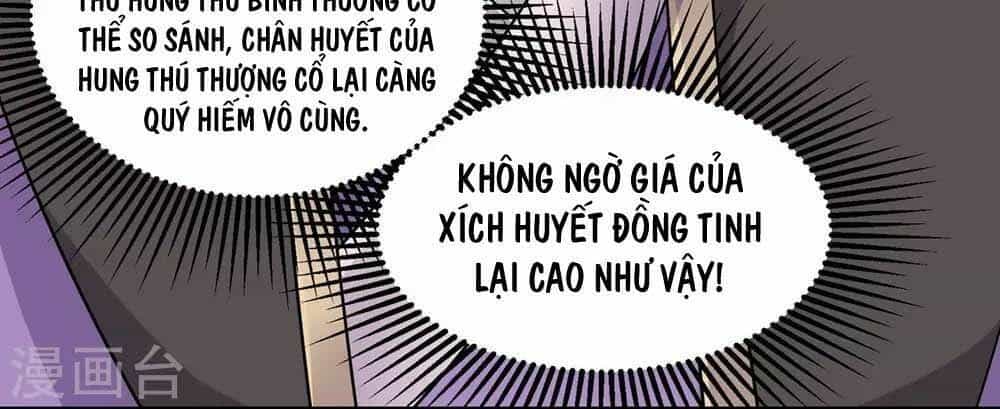 Cái Thế Đế Tôn - Chương 5 - ảnh 16