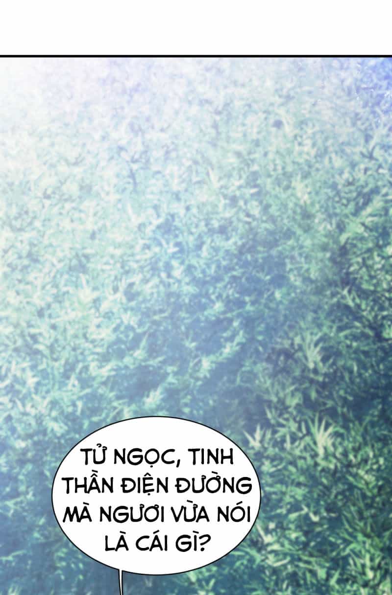 Cái Thế Đế Tôn - Chương 73 - ảnh 33