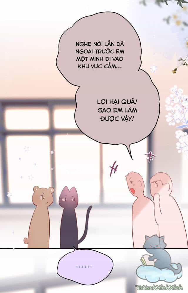 Cạm Bẫy Của Hồ Ly - Chương 13 - ảnh 25