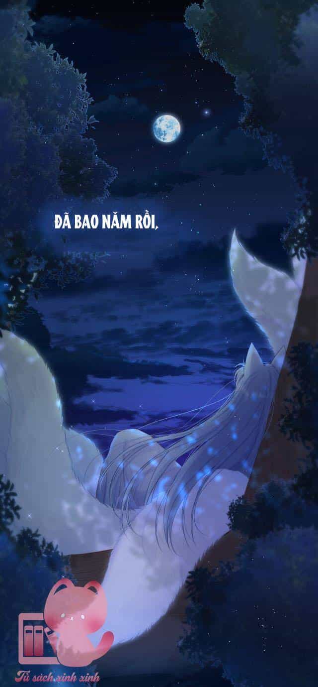 Cạm Bẫy Của Hồ Ly - Chương 37 - ảnh 31