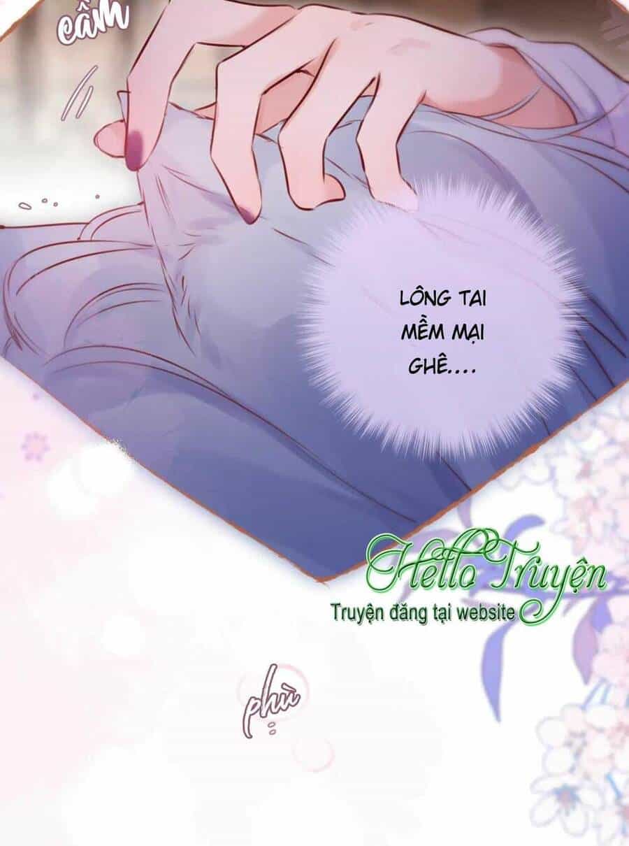 Cạm Bẫy Của Hồ Ly - Chương 66 - ảnh 29