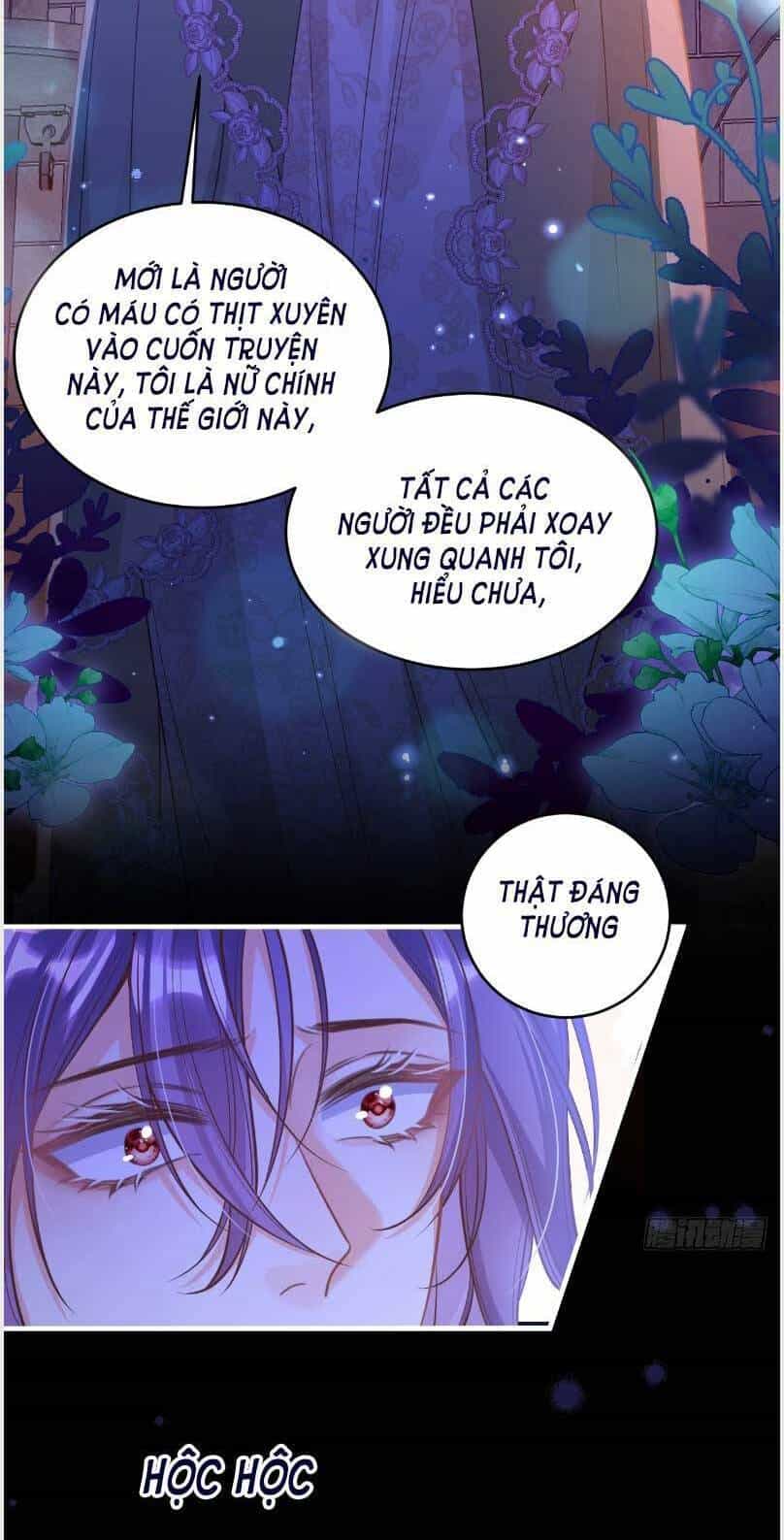 Cầu Hôn Giáo Hoàng - Chương 4 - ảnh 8