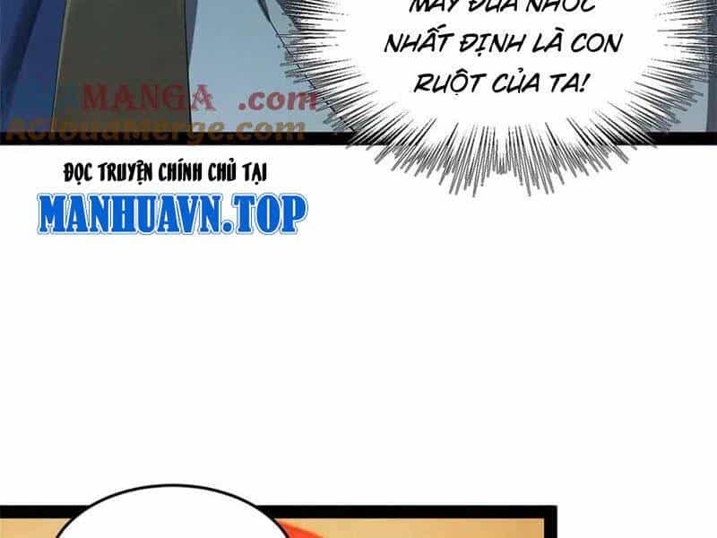 Chàng Rể Mạnh Nhất Lịch Sử - Chương 194 - ảnh 33