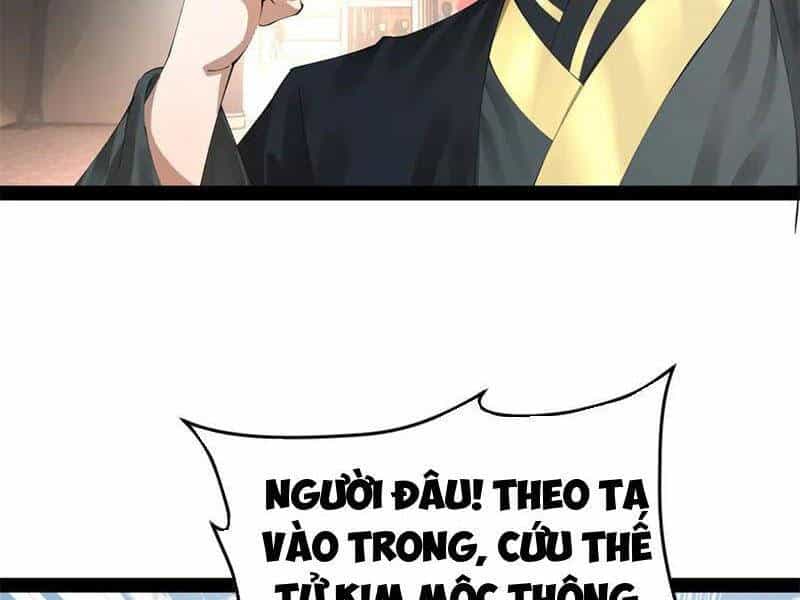 Chàng Rể Mạnh Nhất Lịch Sử - Chương 204 - ảnh 25