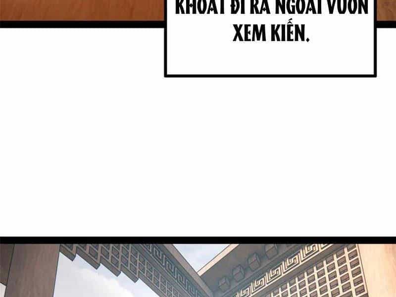 Chàng Rể Mạnh Nhất Lịch Sử - Chương 205 - ảnh 35
