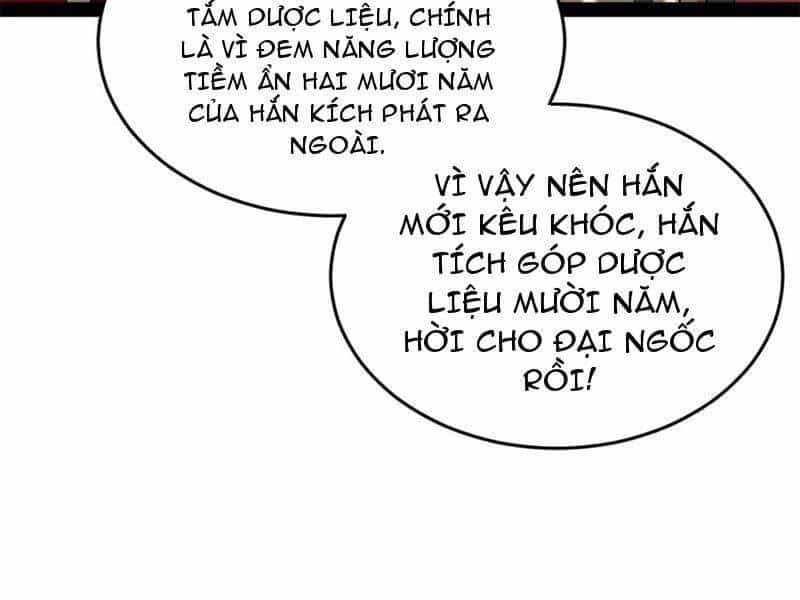 Chàng Rể Mạnh Nhất Lịch Sử - Chương 206 - ảnh 48
