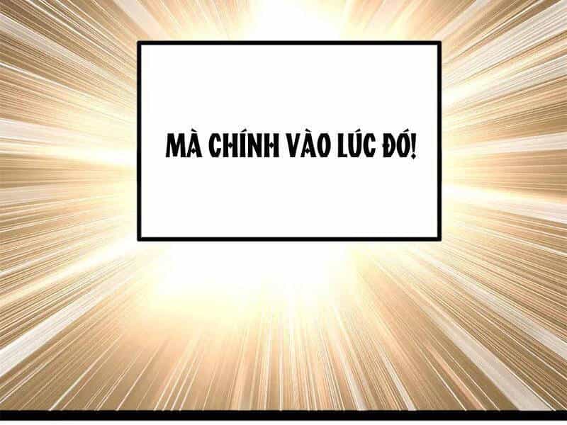 Chàng Rể Mạnh Nhất Lịch Sử - Chương 207 - ảnh 63