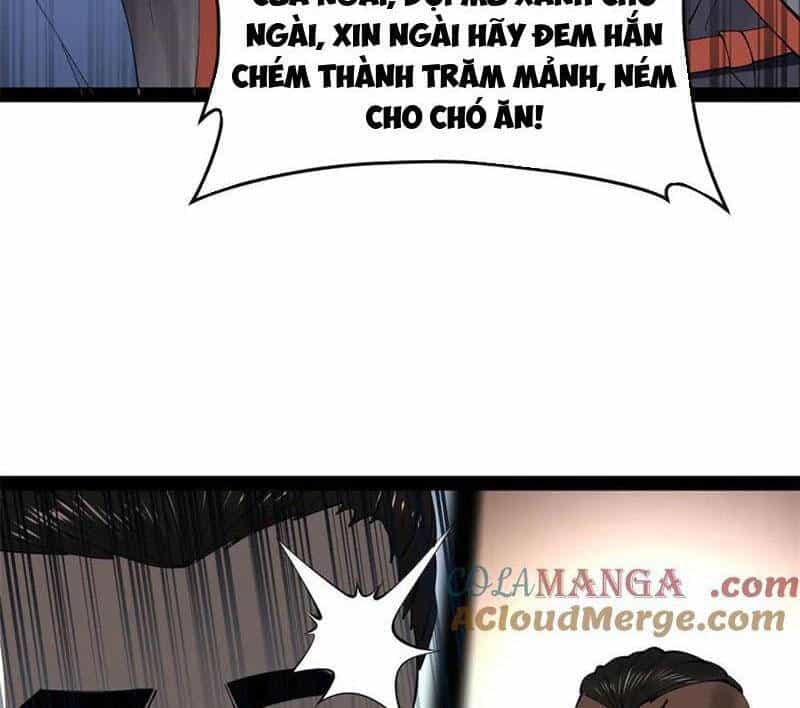 Chàng Rể Mạnh Nhất Lịch Sử - Chương 211 - ảnh 44