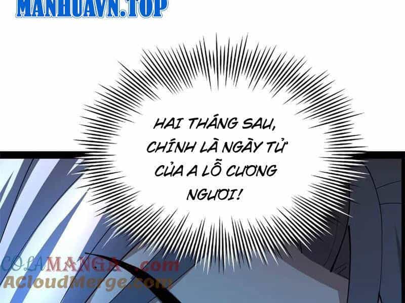 Chàng Rể Mạnh Nhất Lịch Sử - Chương 216 - ảnh 115