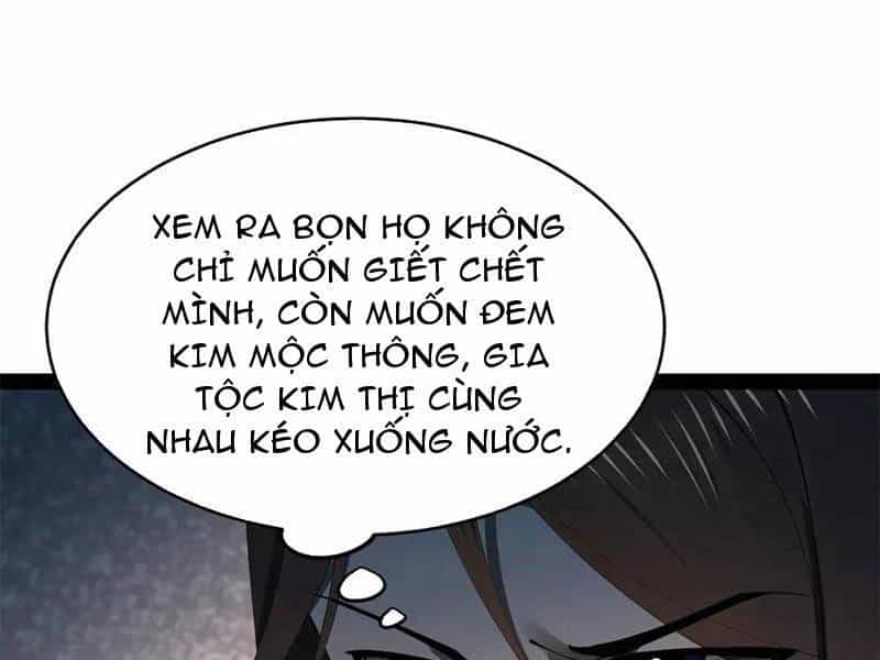 Chàng Rể Mạnh Nhất Lịch Sử - Chương 241 - ảnh 50