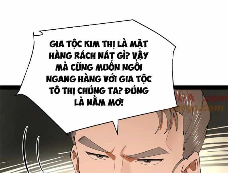 Chàng Rể Mạnh Nhất Lịch Sử - Chương 242 - ảnh 135