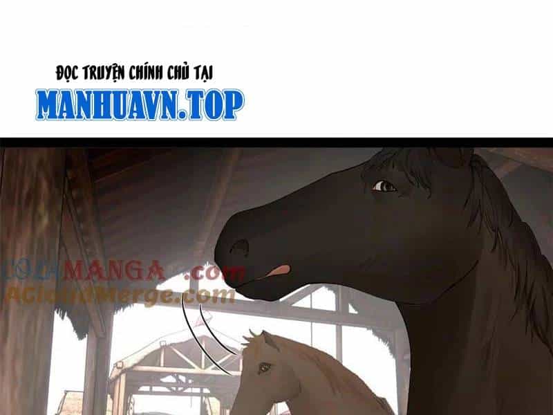 Chàng Rể Mạnh Nhất Lịch Sử - Chương 253 - ảnh 36