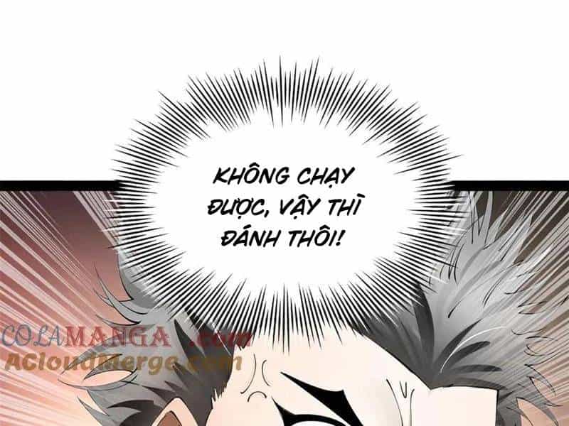 Chàng Rể Mạnh Nhất Lịch Sử - Chương 253 - ảnh 69