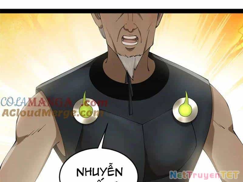 Chàng Rể Mạnh Nhất Lịch Sử - Chương 265 - ảnh 51