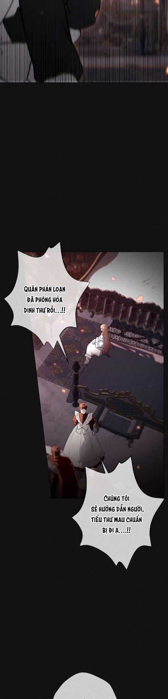 Chàng Tiên Cá Bị Giam Cầm Trong Hồ Nhà Tôi - Chương 11 - ảnh 15