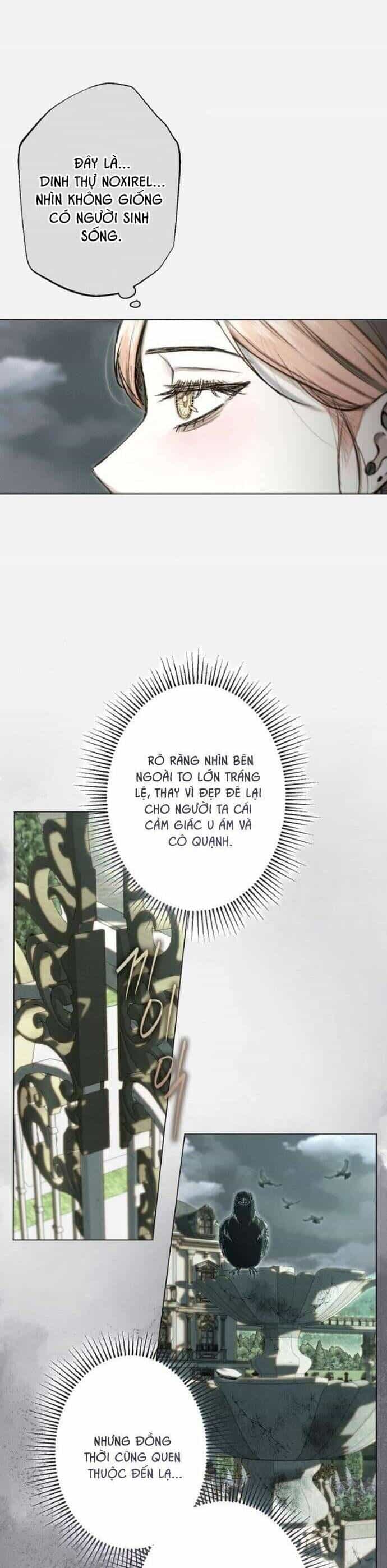 Chàng Tiên Cá Bị Giam Cầm Trong Hồ Nhà Tôi - Chương 13 - ảnh 19