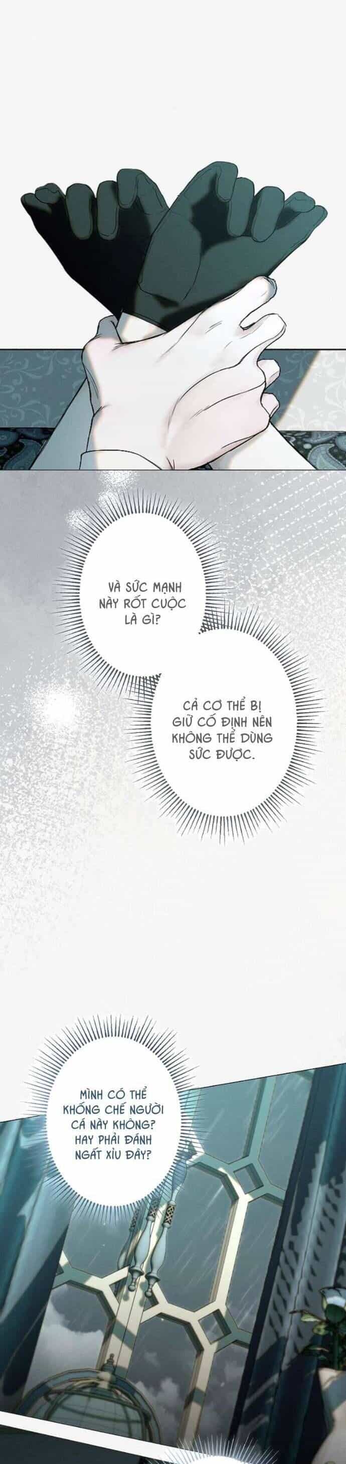 Chàng Tiên Cá Bị Giam Cầm Trong Hồ Nhà Tôi - Chương 16 - ảnh 4