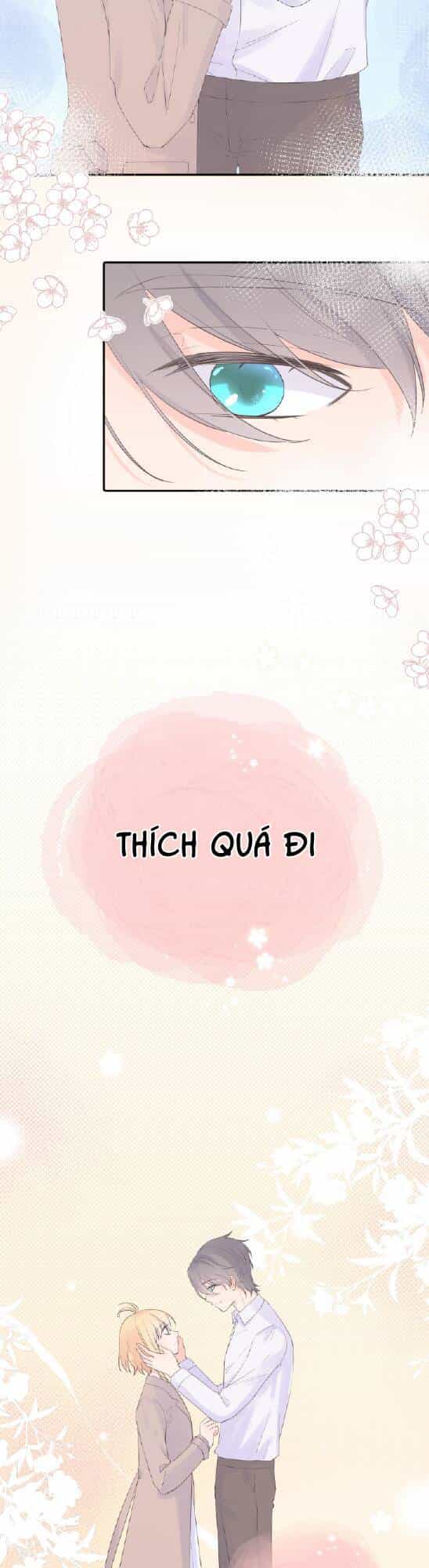 Chanh Vàng - Chương 11 - ảnh 13