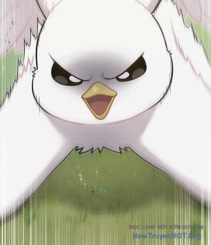 Chào Nhé, Chú Vẹt Mắt Tròn Griffin! - Chương 10 - ảnh 14