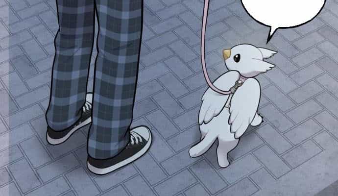 Chào Nhé, Chú Vẹt Mắt Tròn Griffin! - Chương 12 - ảnh 92
