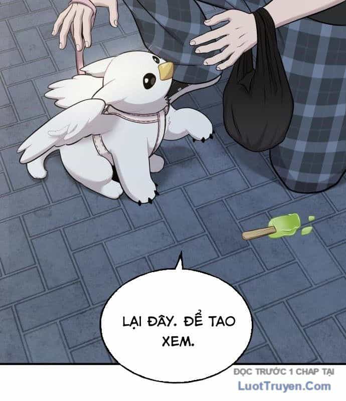 Chào Nhé, Chú Vẹt Mắt Tròn Griffin! - Chương 12 - ảnh 99