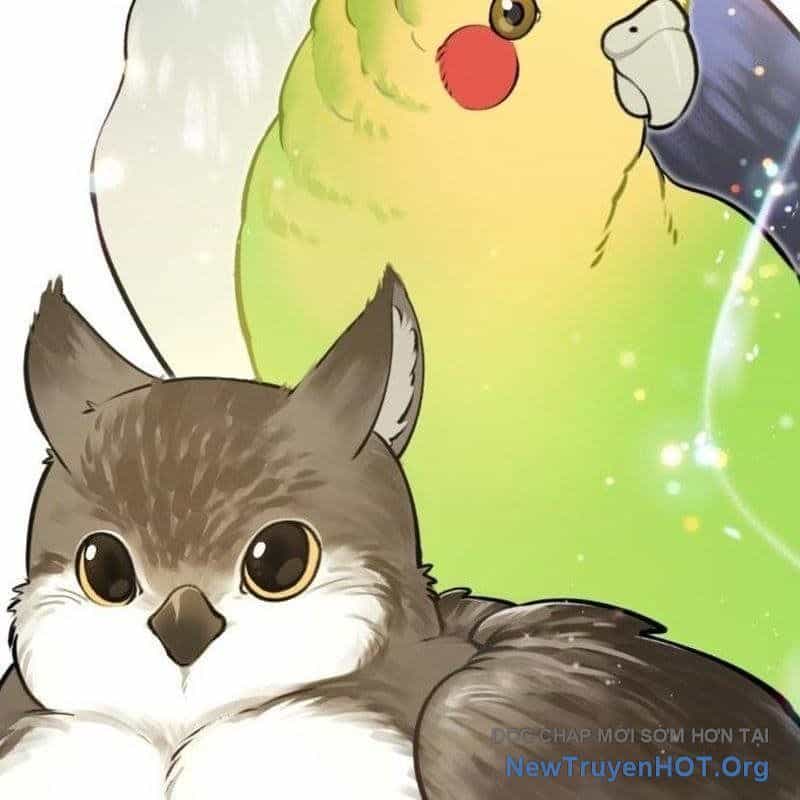 Chào Nhé, Griffin Mắt Tròn! - Chương 1 - ảnh 47
