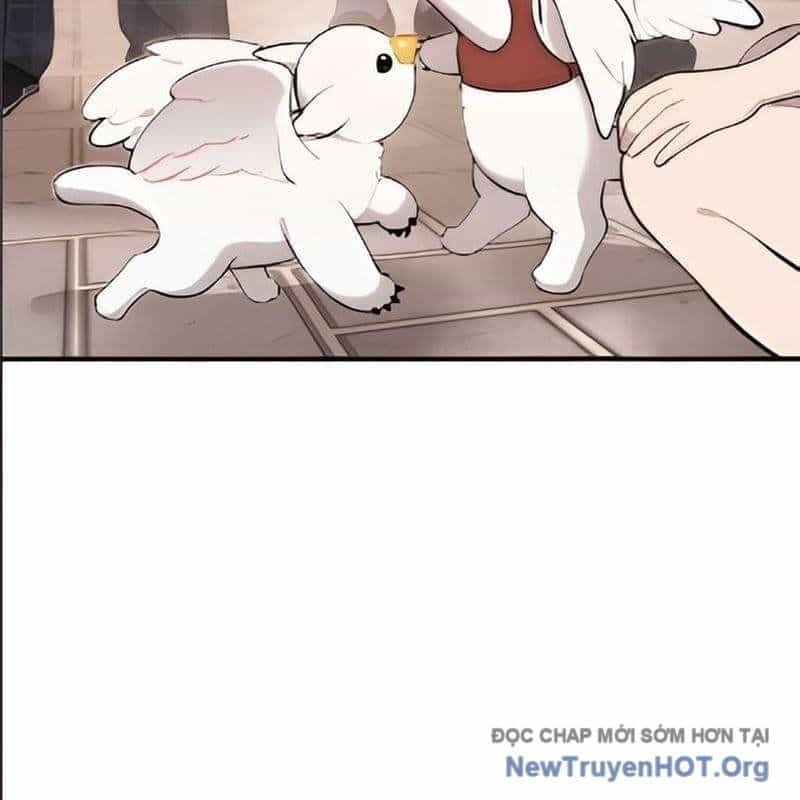 Chào Nhé, Griffin Mắt Tròn! - Chương 2 - ảnh 22