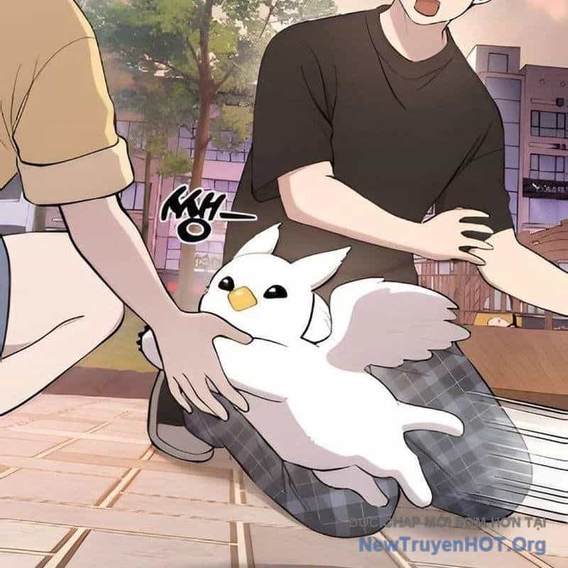 Chào Nhé, Griffin Mắt Tròn! - Chương 2 - ảnh 80