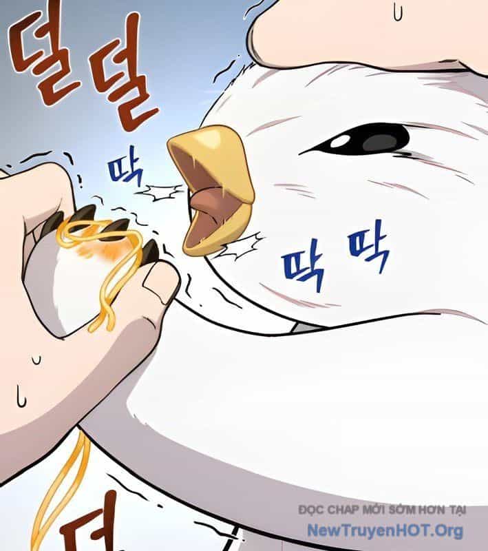 Chào Nhé, Griffin Mắt Tròn! - Chương 4 - ảnh 102