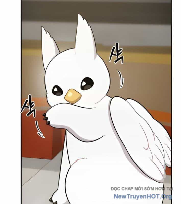 Chào Nhé, Griffin Mắt Tròn! - Chương 4 - ảnh 50