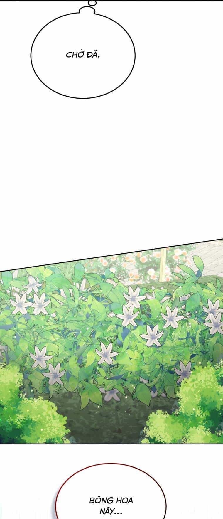 Cháu Trai Của Nam Chính Rất Thích Tôi - Chương 35 - ảnh 64
