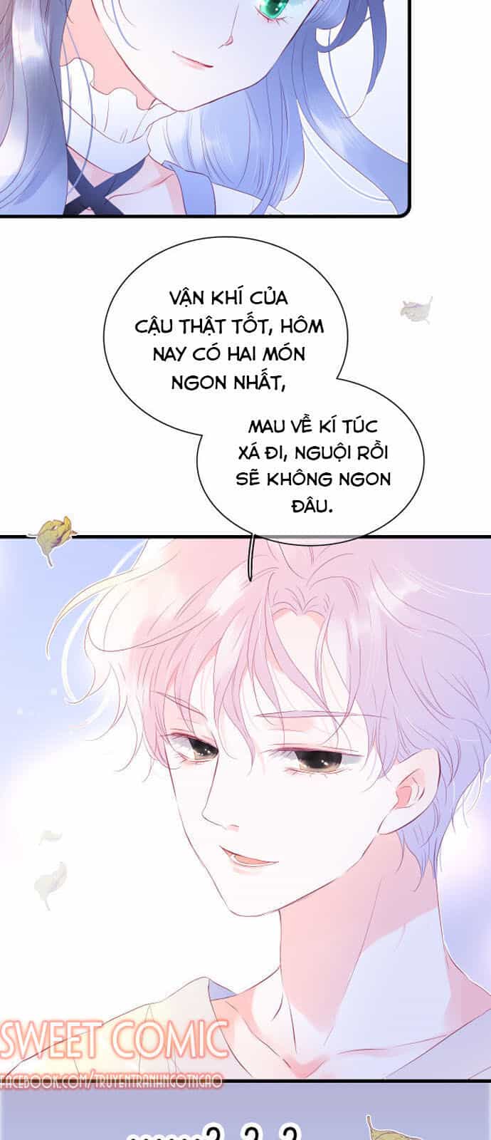 Chạy Trốn Cùng Con Nhím - Chương 9 - ảnh 28