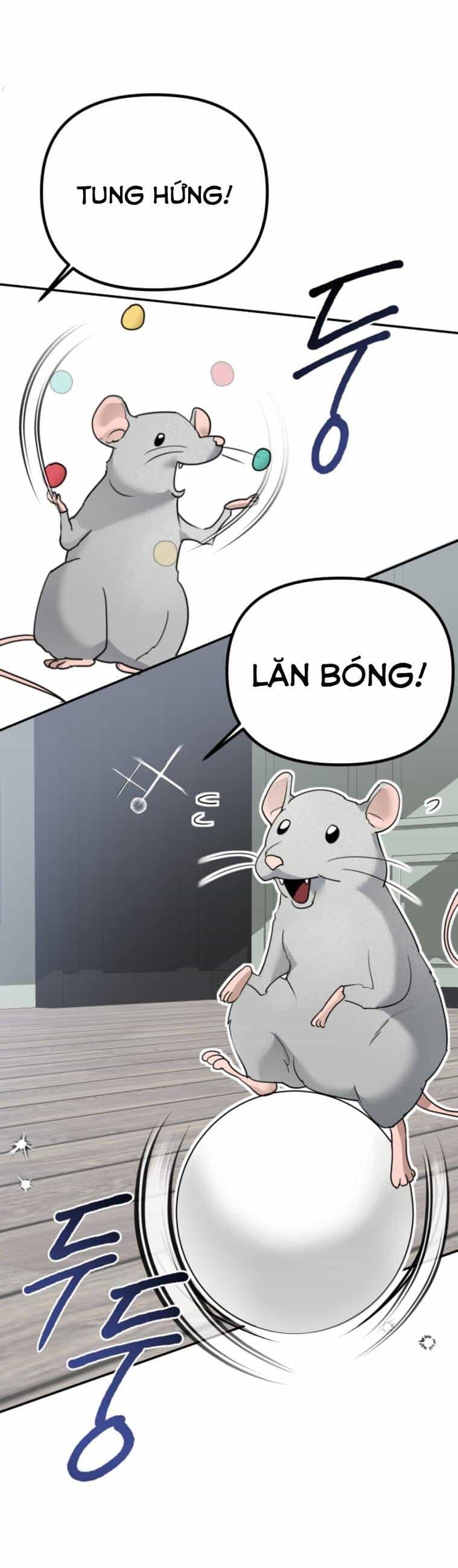 Chị Em Nhà Ki - Chương 12 - ảnh 17