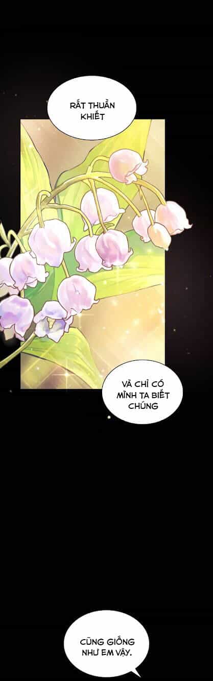 Chị Gái À, Kiếp Này Em Chính Là Nữ Hoàng - Chương 2 - ảnh 3