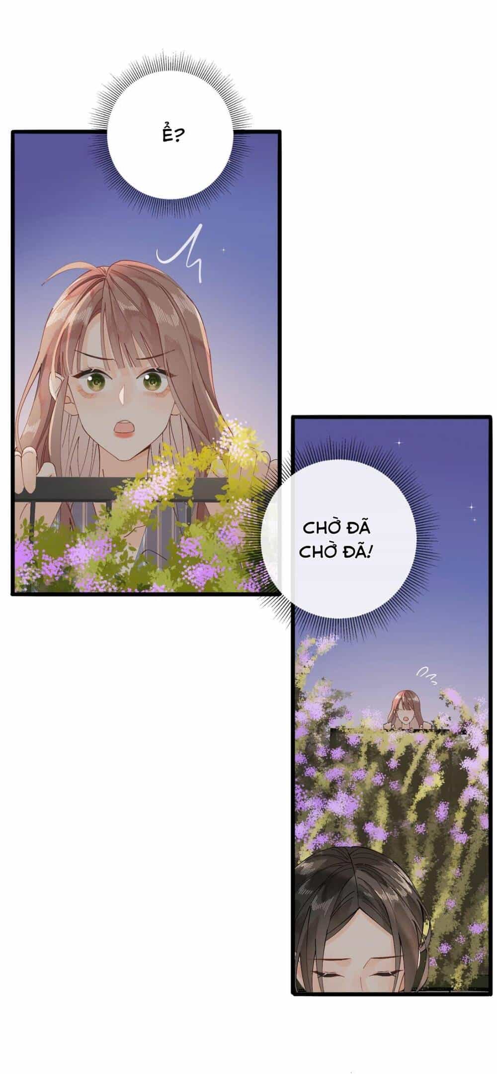 Chị Gái Lại Toang Nữa Rồi - Chương 5 - ảnh 28