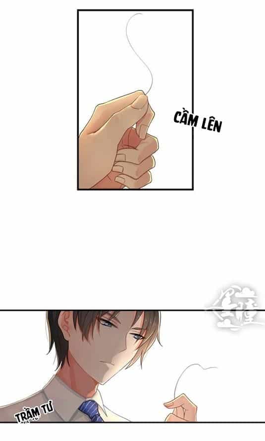 Chỉ Nhiễm Thành Hôn - Chương 5 - ảnh 7