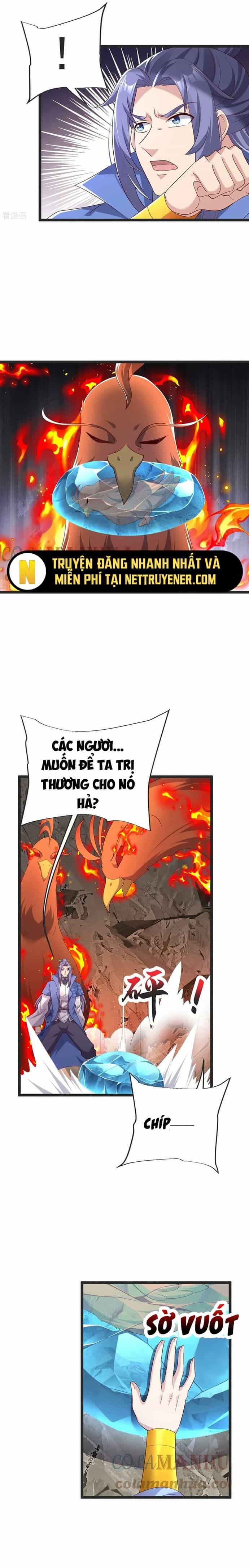 Chí Tôn Hoàn Mỹ - Chương 49 - ảnh 12