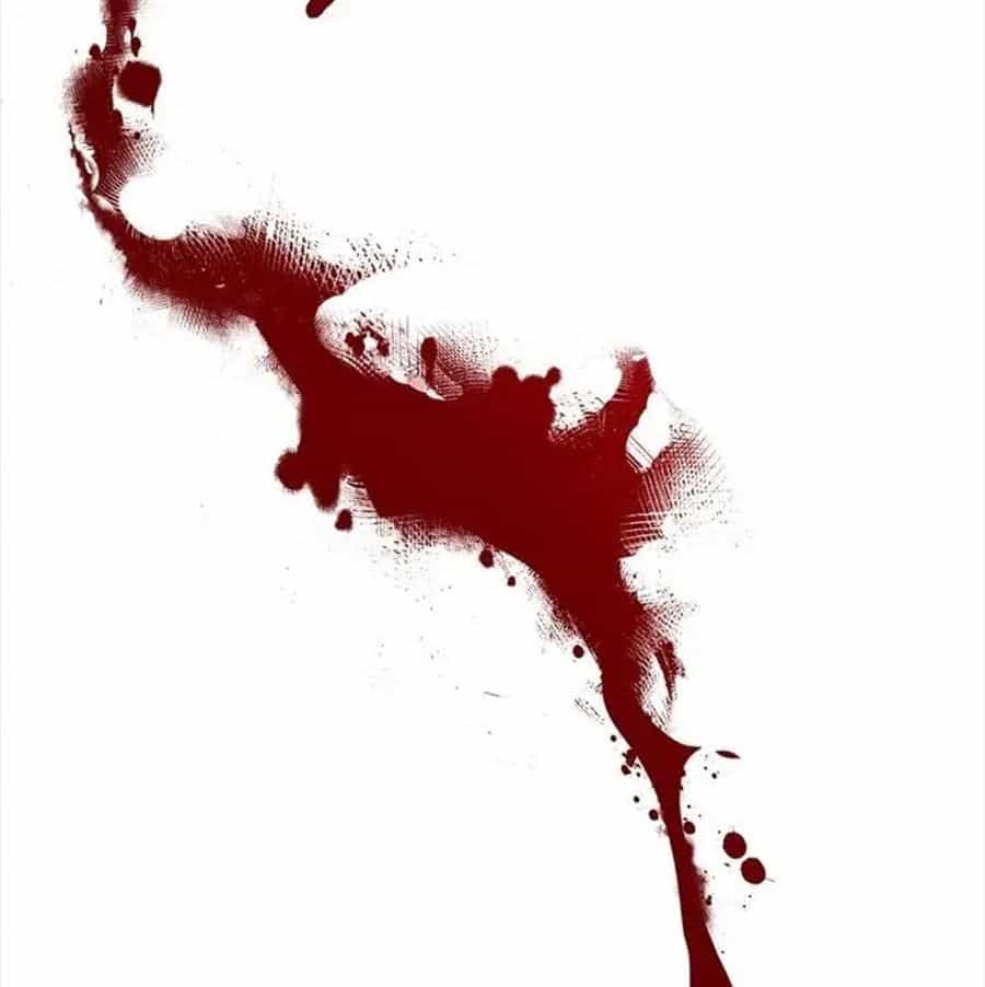 Chiến Binh Xương Trắng Thất Thủ - Chương 122 - ảnh 155