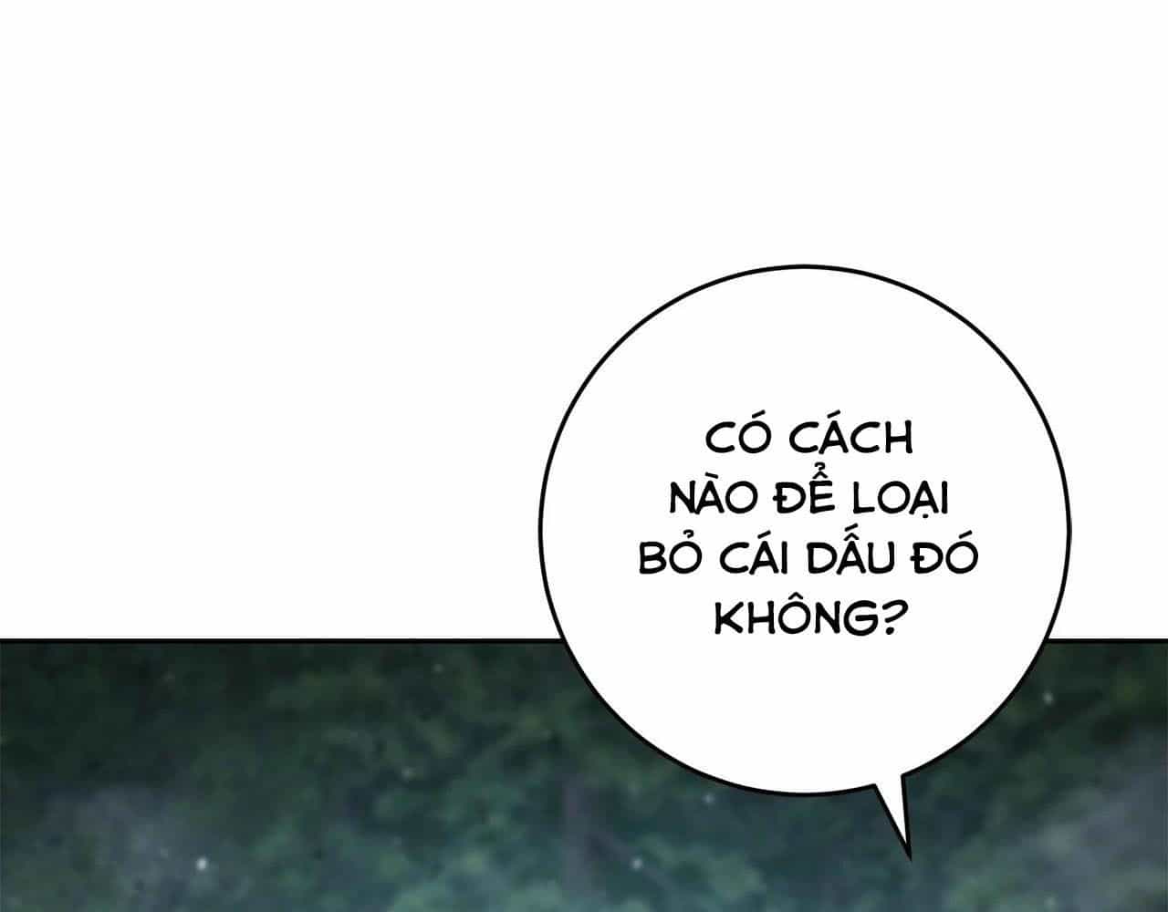 Chiến Binh Xương Trắng Thất Thủ - Chương 314 - ảnh 31
