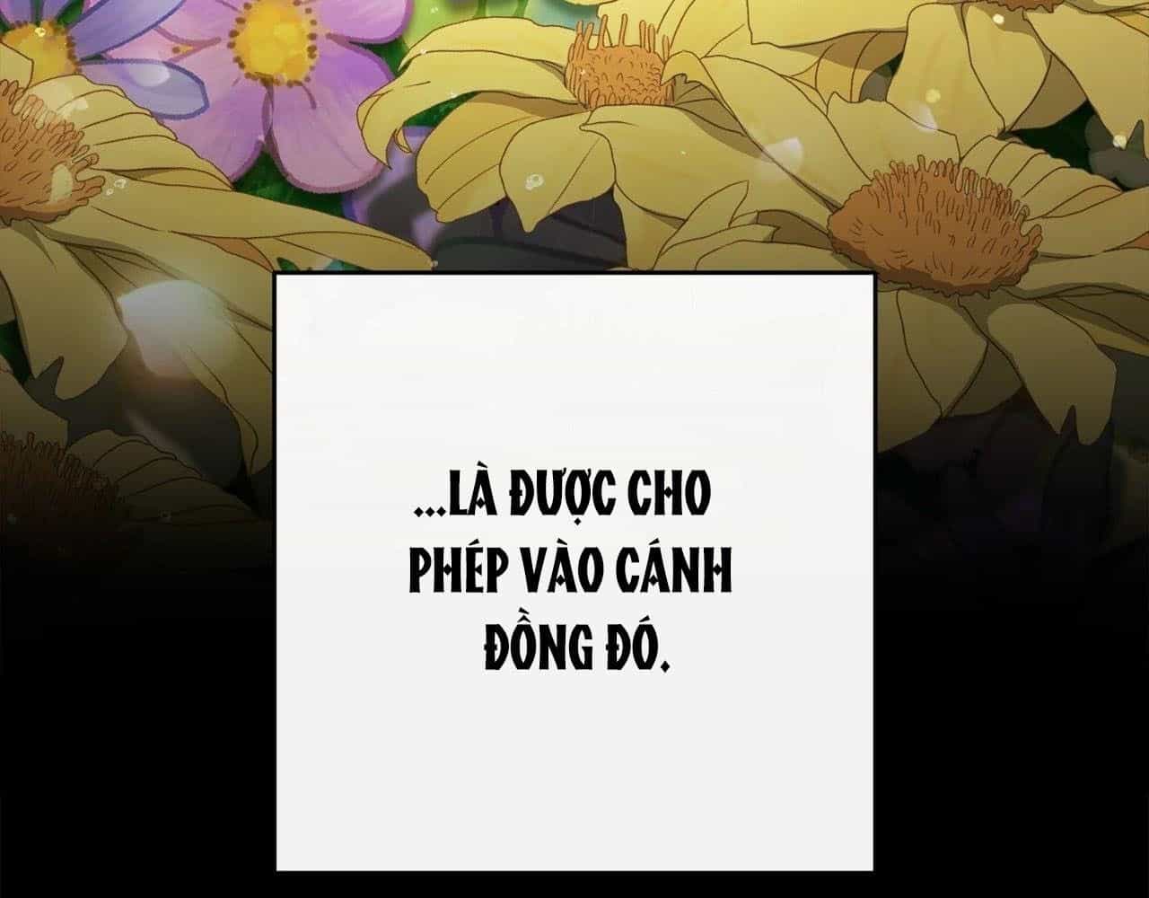 Chiến Binh Xương Trắng Thất Thủ - Chương 315 - ảnh 13