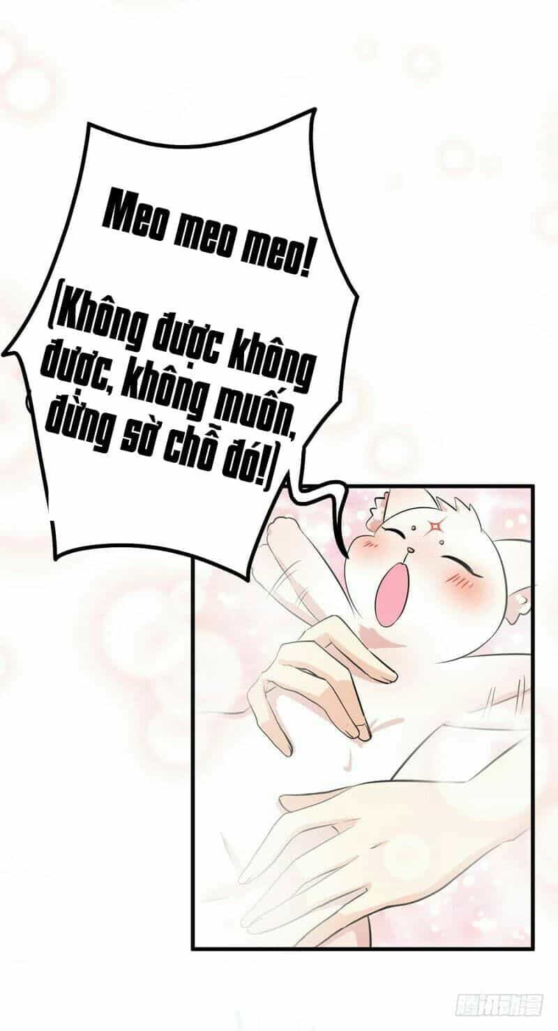 Chinh Phục Bạn Trai Sao Chổi - Chương 4 - ảnh 21