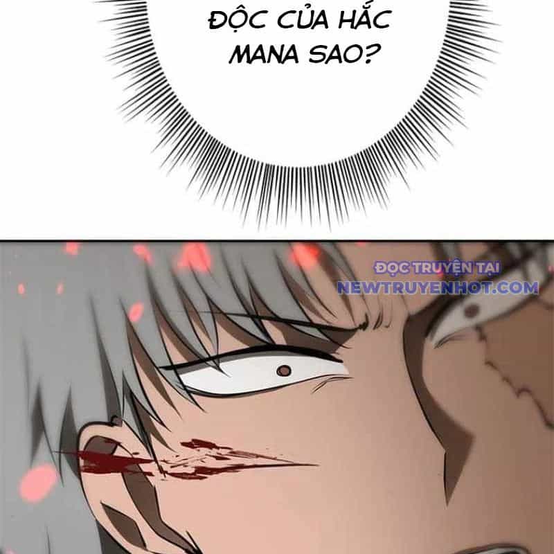 Chinh Phục Hầm Ngục Bằng Sao Chép Và Dán! - Chương 34 - ảnh 28